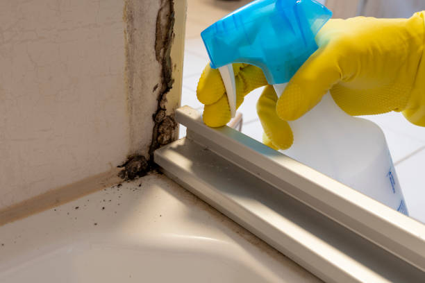 Best Residential Mold Removal  in Savannah, MO