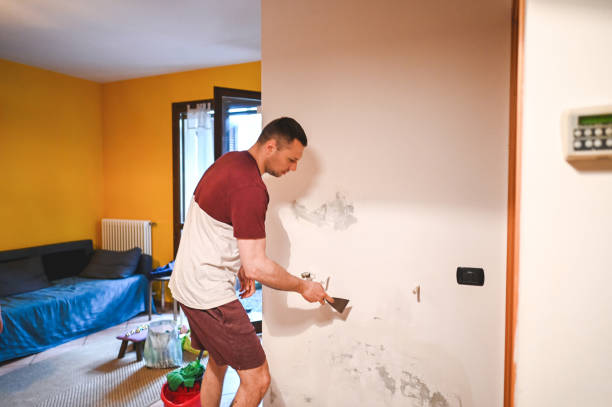 Best Home Mold Removal  in Savannah, MO