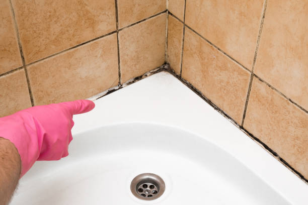 Best Crawl Space Mold Removal  in Savannah, MO